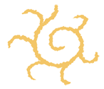 Heilkunde Braszus - Ganzheitliches Heilen - Logo